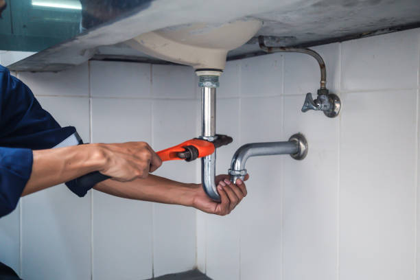 Best Clogged Drain Plumber  in Amerin Nyon, CA